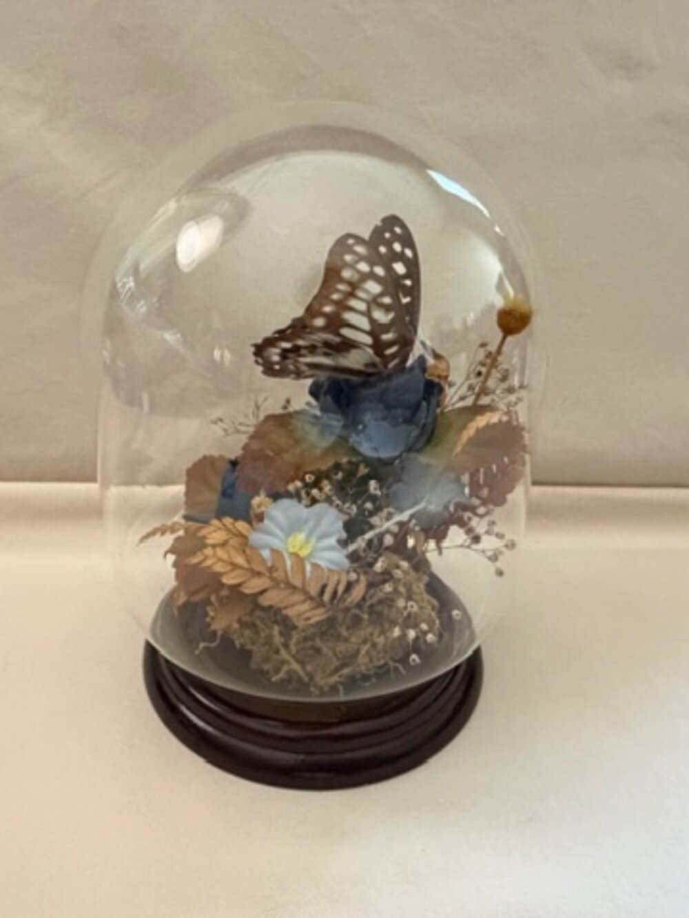 Vintage Glass Dome Butterfly Flower Art